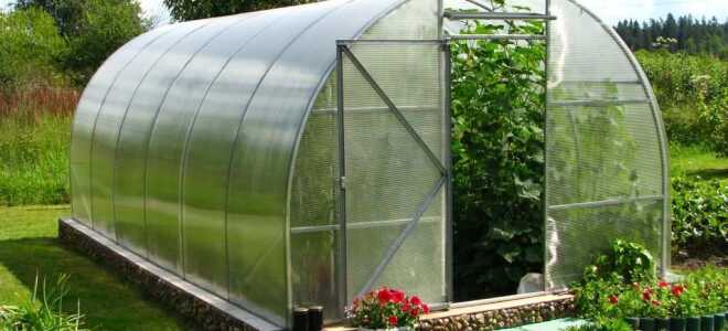 Фундамент для теплицы из поликарбоната своими руками: какой лучше сделать