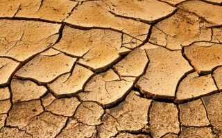 Какой фундамент лучше на глинистой почве: выбор и устройство