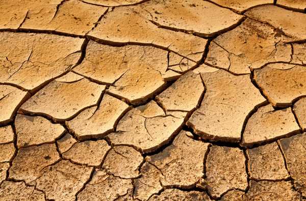 Глинистая почва