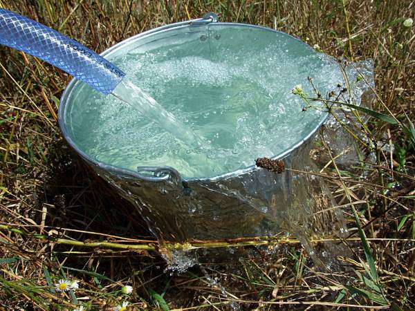 Ведро воды